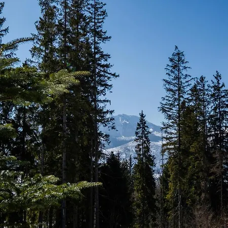 Przystanek Podhale- 1050 *